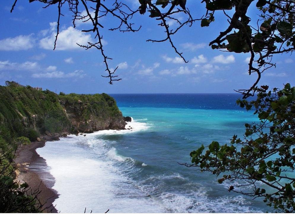 Appartamento The View At Mystic Ridge Penthouse 78A Ocho Rios Esterno foto